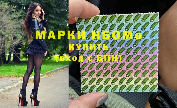 дмт Елизово
