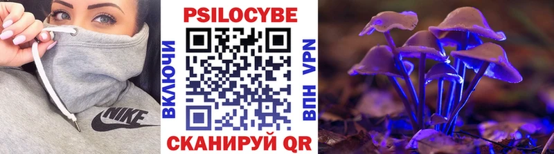 Псилоцибиновые грибы Psilocybe купить наркотики цена Онега