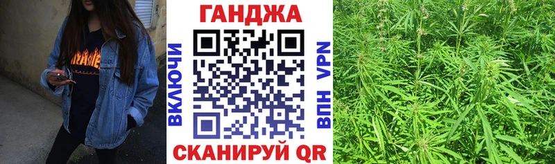 Бошки Шишки план  Онега 
